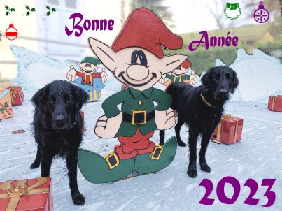 Voeux 2023.jpg